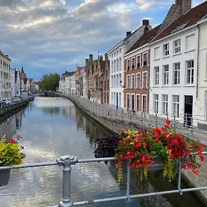 Anna9 Brujas
